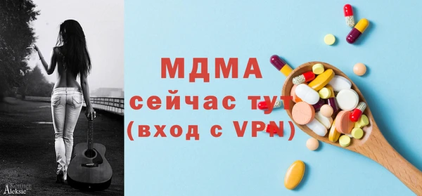 дживик Верхний Тагил