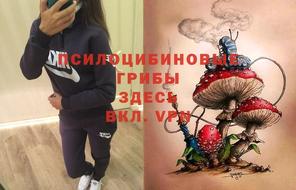 герыч Верея