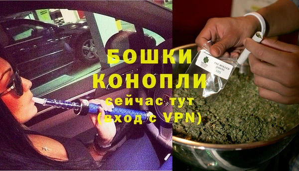 дживик Верхний Тагил