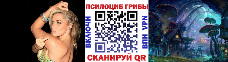 Галлюциногенные грибы Psilocybe  Ворсма 